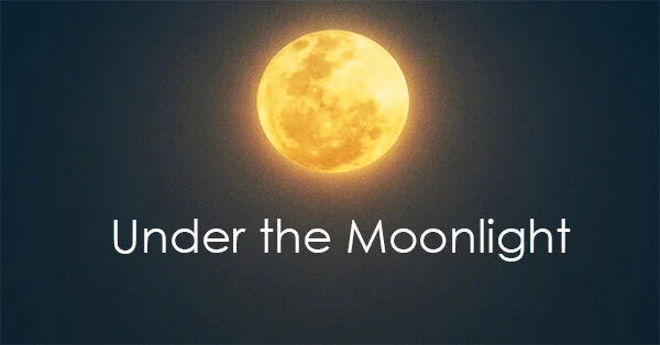 under+the+moonlight.jpg?format